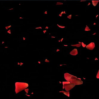 Thumbnail of rose petals